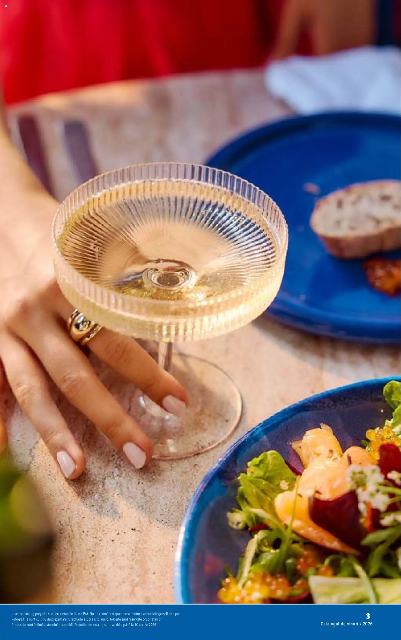 Noul catalog Lidl – valabil de la 23.02.2026 | Pagină: 3