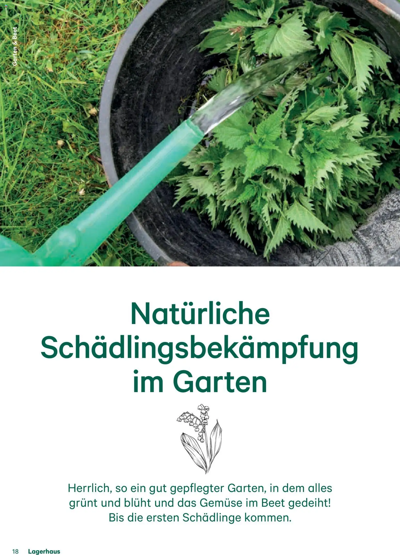 Lagerhaus Fürs Leben am Land gültig ab 01.11.2025 | Seite: 18 | Produkte: Gemüse