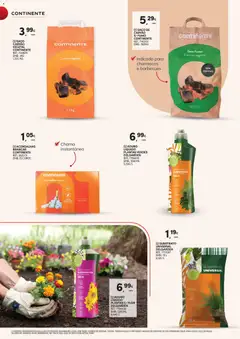 Pré-visualização Continente - Marcas  válido de 07.04.2026 | Página: 38 | Produtos: Carvão vegetal