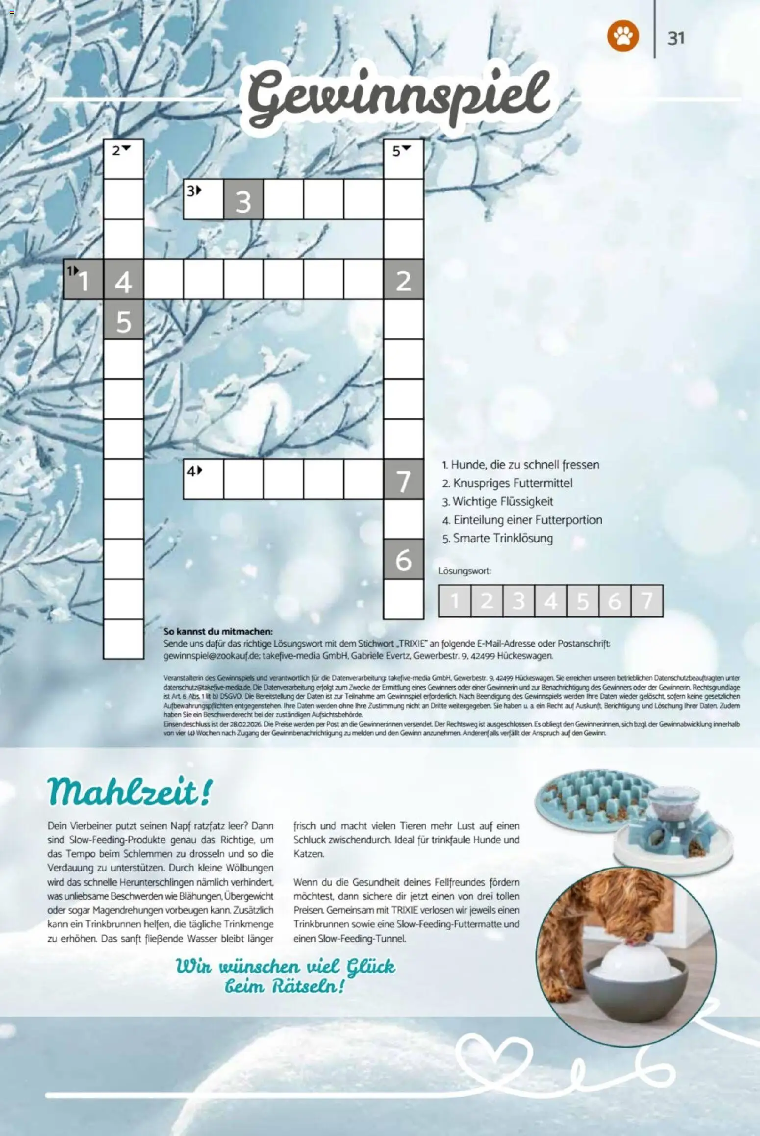 zookauf  Heimtier Journal – gültig ab 01.02.2026 | Seite: 31 | Produkte: Wasser, Tempo