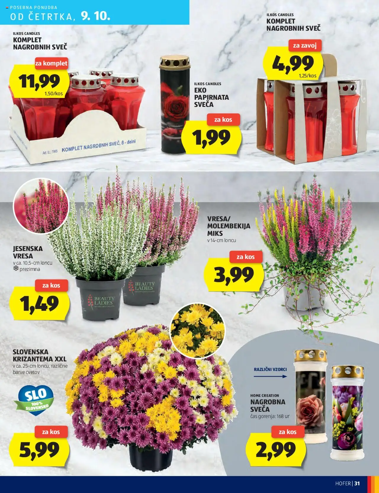 Novi Hofer katalog ponudbe – veljaven od 02.10.2025 | Stran: 31 | Izdelki: Sveča, Kos