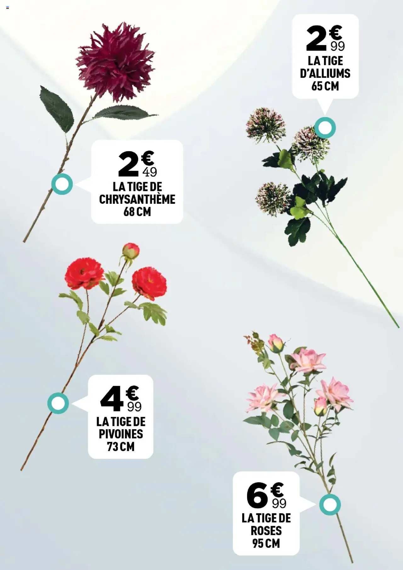 {H1} | Page: 51 | Produits: Chrysanthème