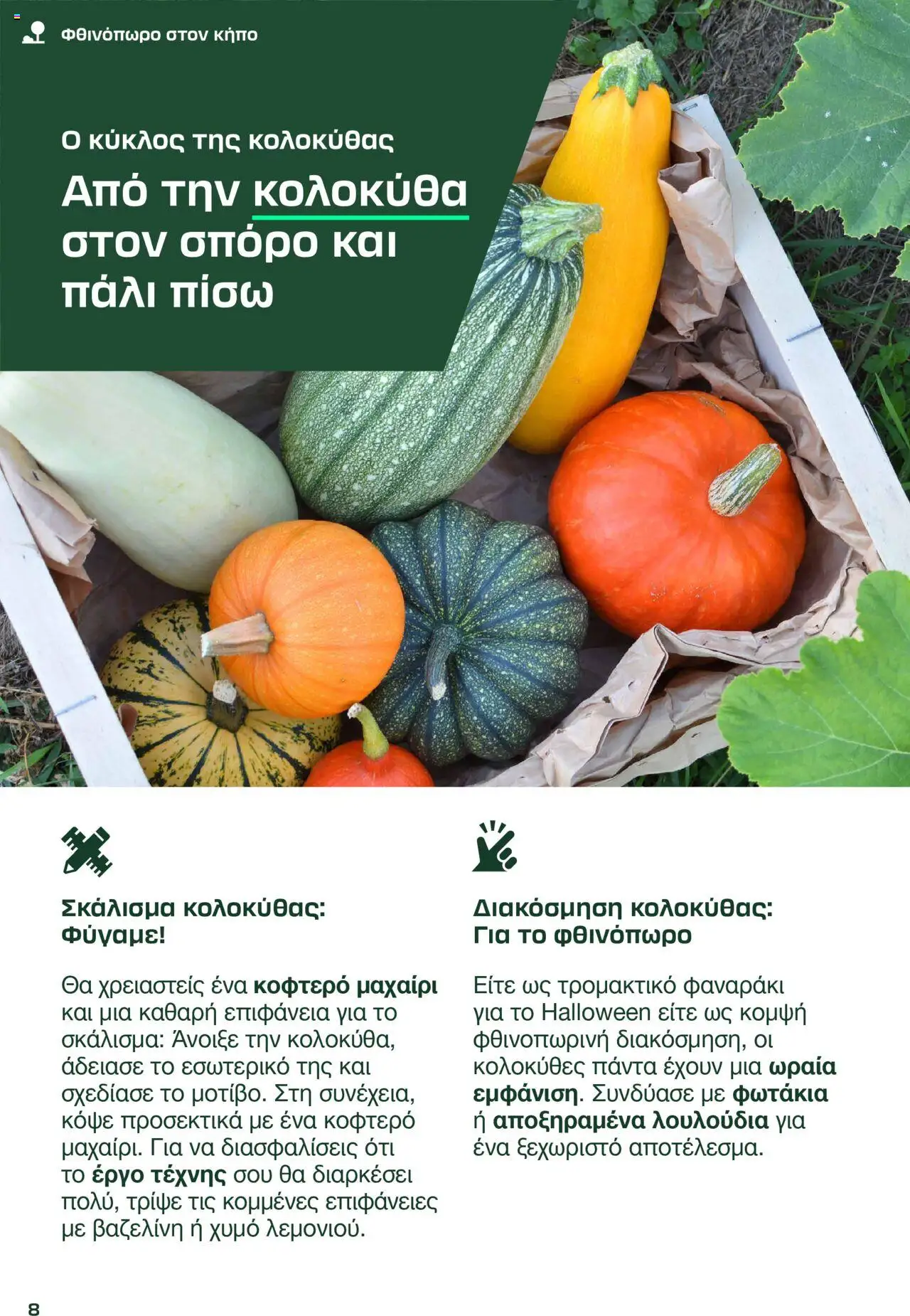 Lidl Φθινόπωρο 2025 – σε ισχύ από 08.09.2025 | Σελίδα: 8