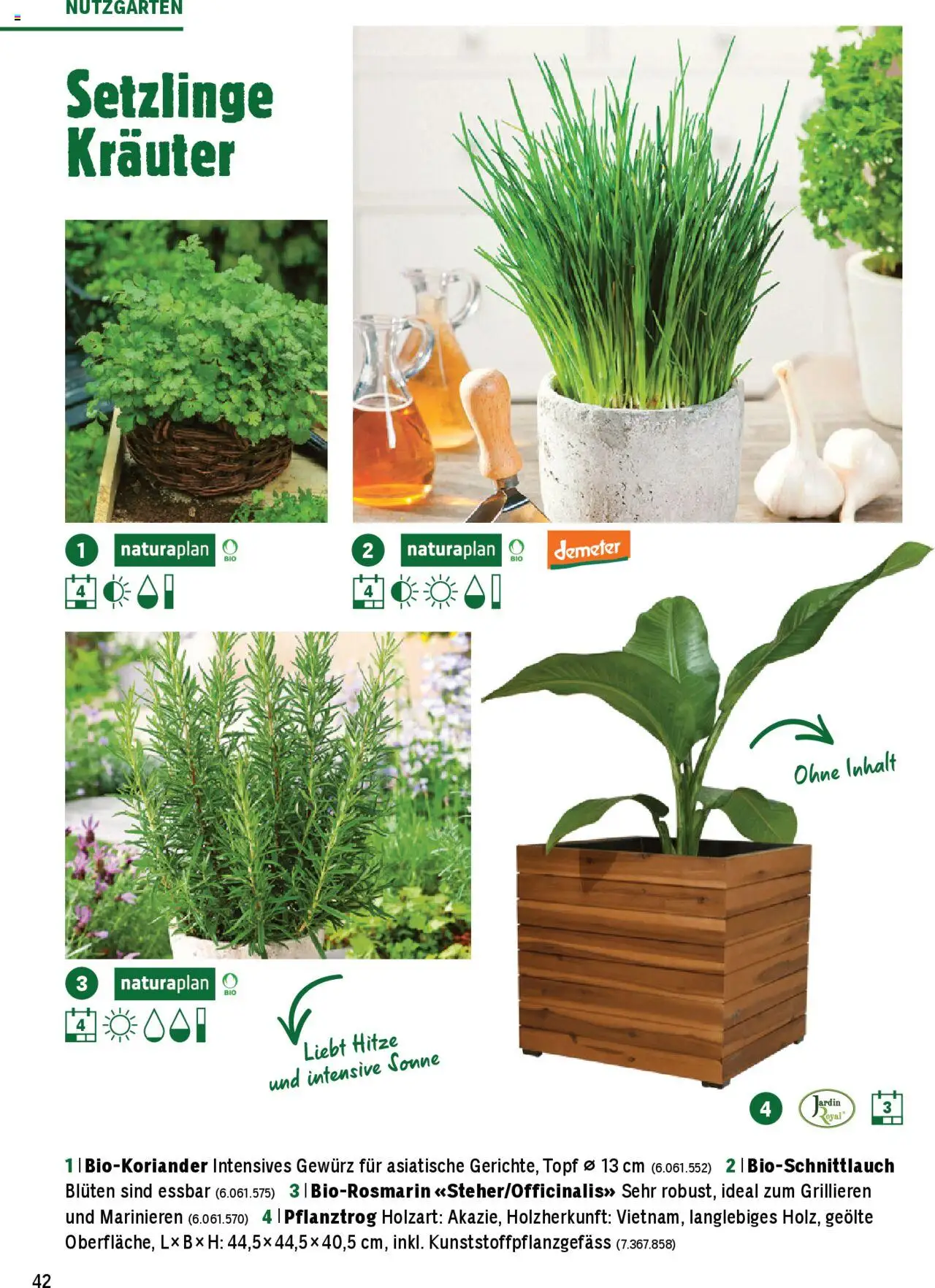 Jumbo Aktionen Dein Garten 2025 ab 21.02.2025 | Seite: 42