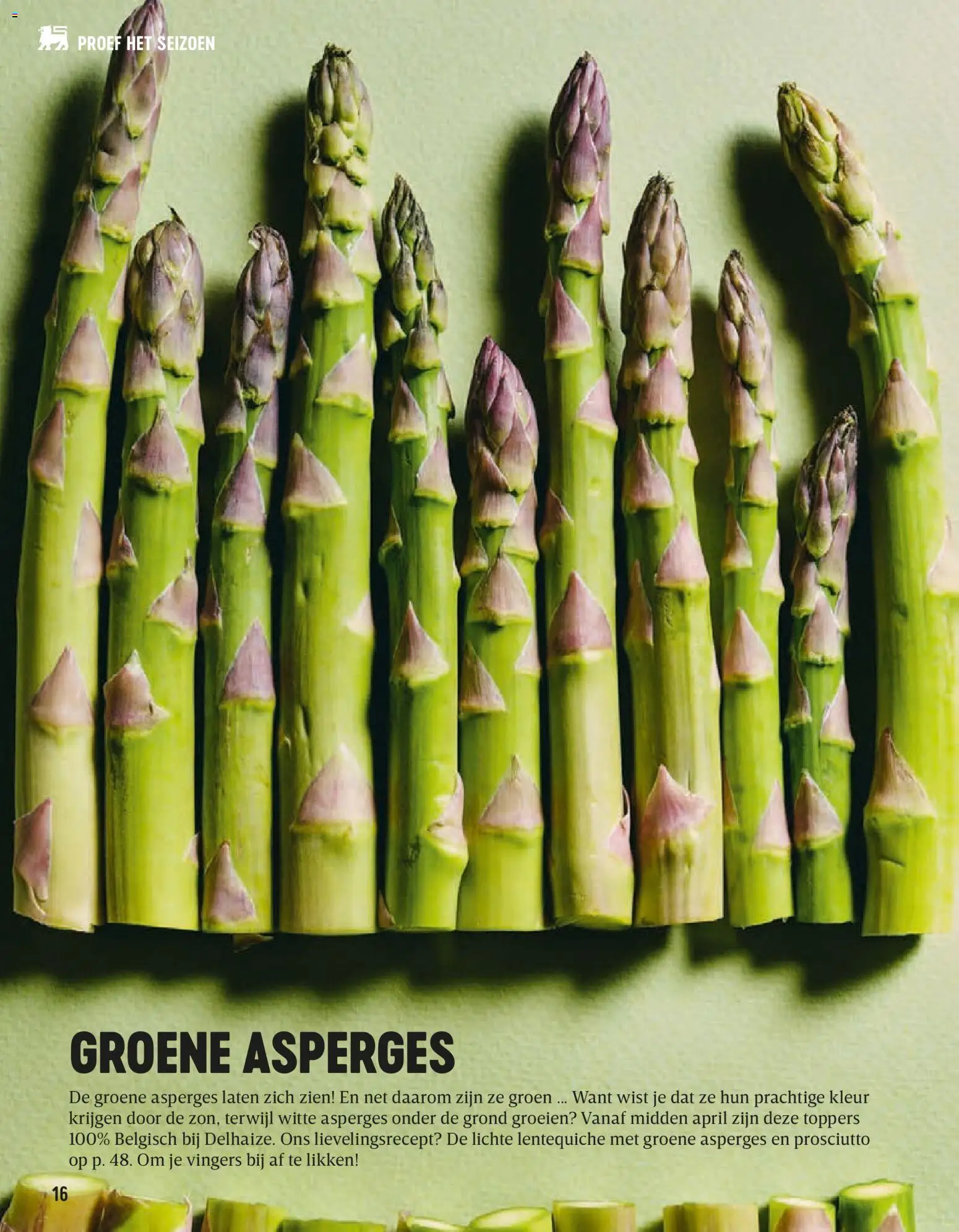 {H1} | Pagina: 16 | Producten: Asperges