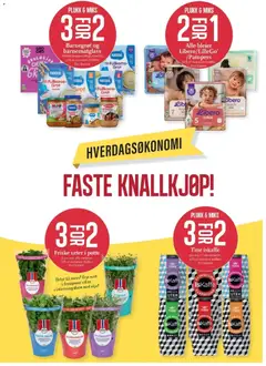 Forhåndsvisning av CC Mat kundeavis gyldig fra 06.04.2026 | Side: 7 | Produkter: Olje, Kylling, Koriander, Kruspersille