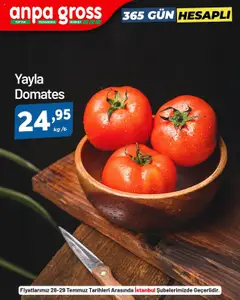 Anpa Gross 365 Gün Hesaplı - 28.07.2025 tarihinden itibaren geçerlidir | Sayfa: 2 | Ürünler: Domates