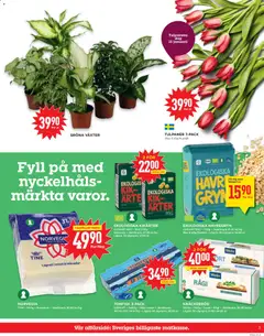 KNÄCKEBRÖD, 550g Sport Rågi Jämförpris 36:36 kr/kg Lägsta 30-dgrspris 21:90-24:90 kr - Förhandsvisning av reklamblad från butik Willys aktuell från 12.01.2026 | Sida: 3 | Produkter: Knäckebröd, Havregryn, Tonfisk