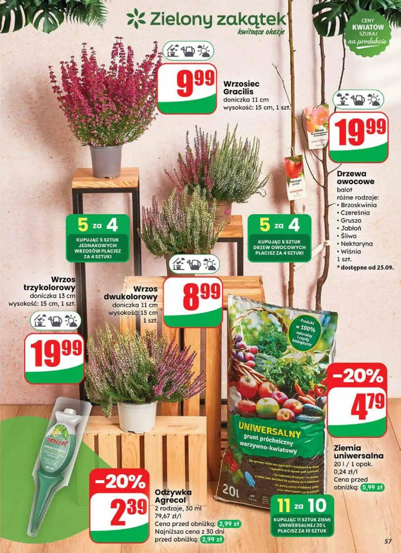 Dino Gazetka od 24.09.2025 | Strona: 57 | Produkty: Brzoskwinia, Ziemia uniwersalna, Ziemia, Odżywka