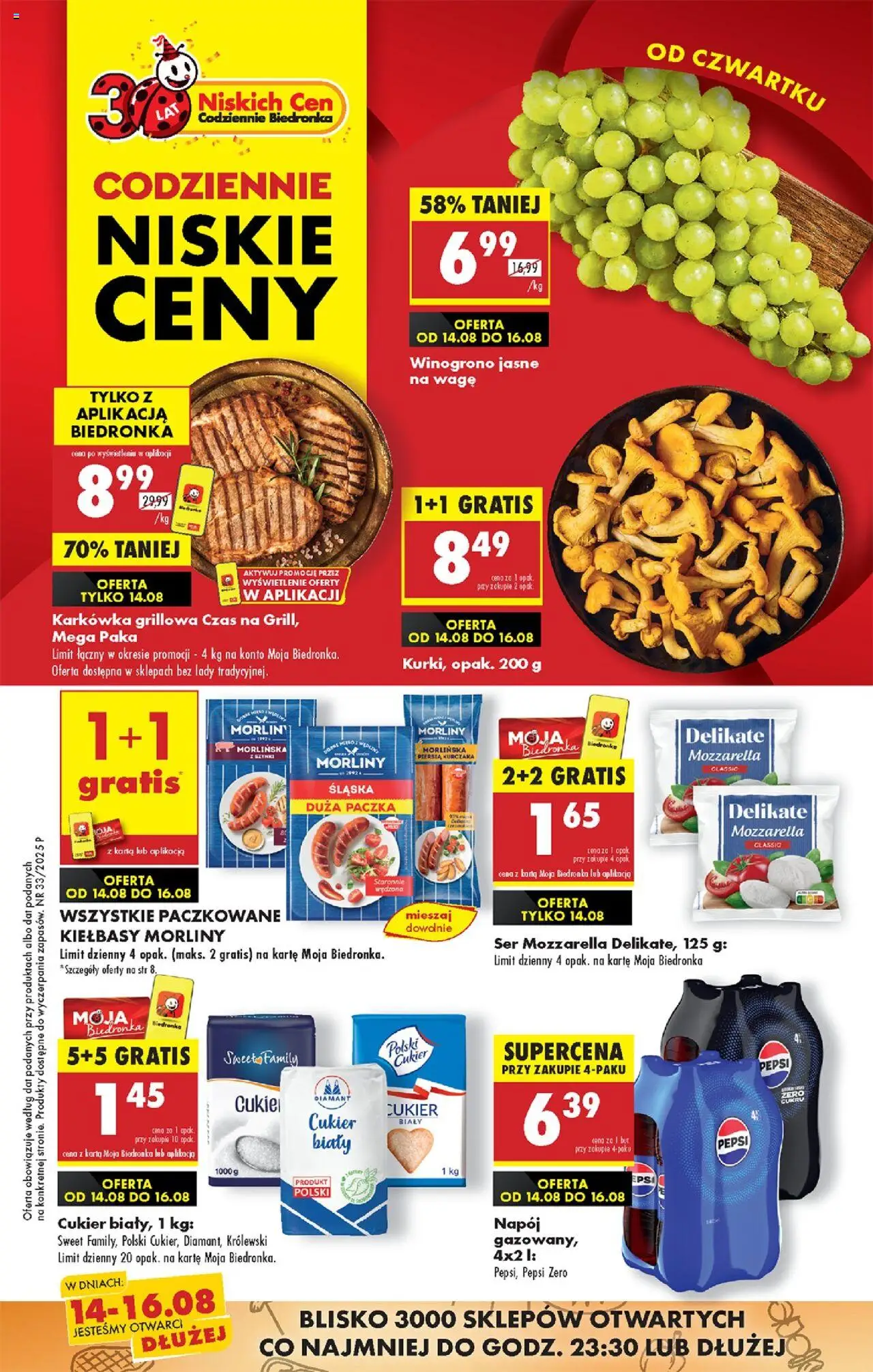 Biedronka gazetka - Oferta w tym tygodniu od 14.08.2025 | Strona: 1 | Produkty: Karkówka, Grill, Kiełbasy Morliny, Ser