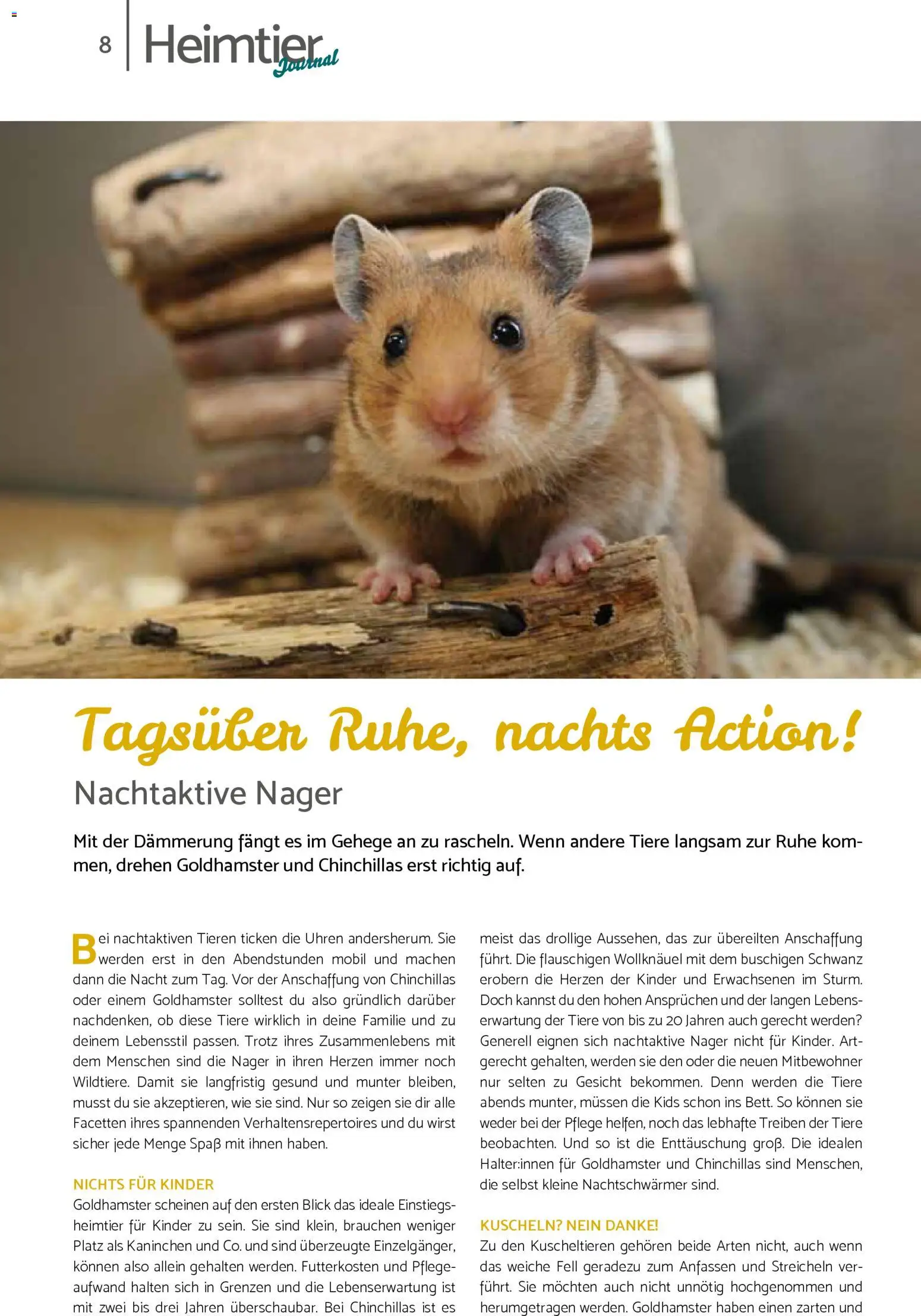 zookauf Prospekt 	 – gültig ab 01.02.2026 | Seite: 8 | Produkte: Kaninchen