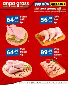 21.11.2025 tarihinden itibaren geçerli olan Anpa Gross kataloğu önizlemesi