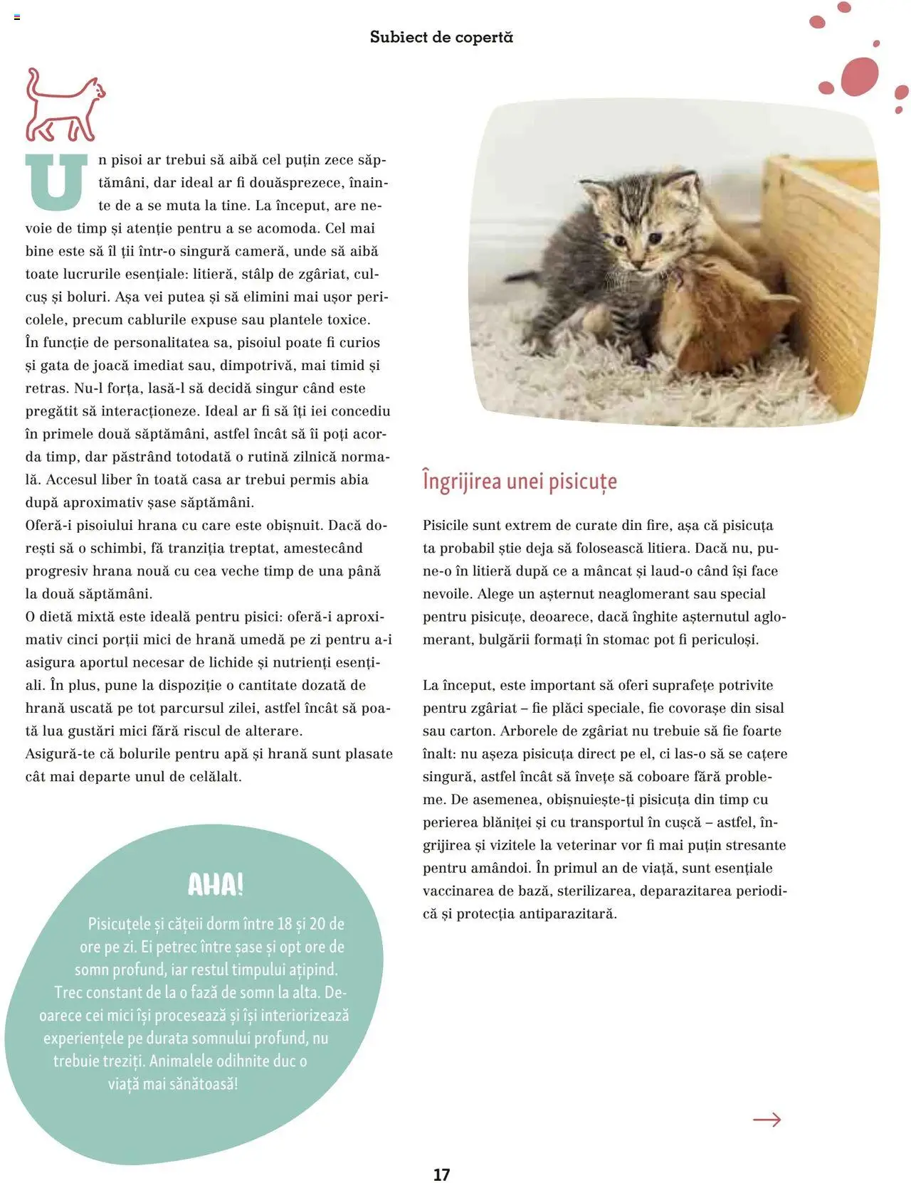 Catalog Fressnapf - Vară – valabil de la 05.05.2025 | Pagină: 17 | Produse: Mici, Apă