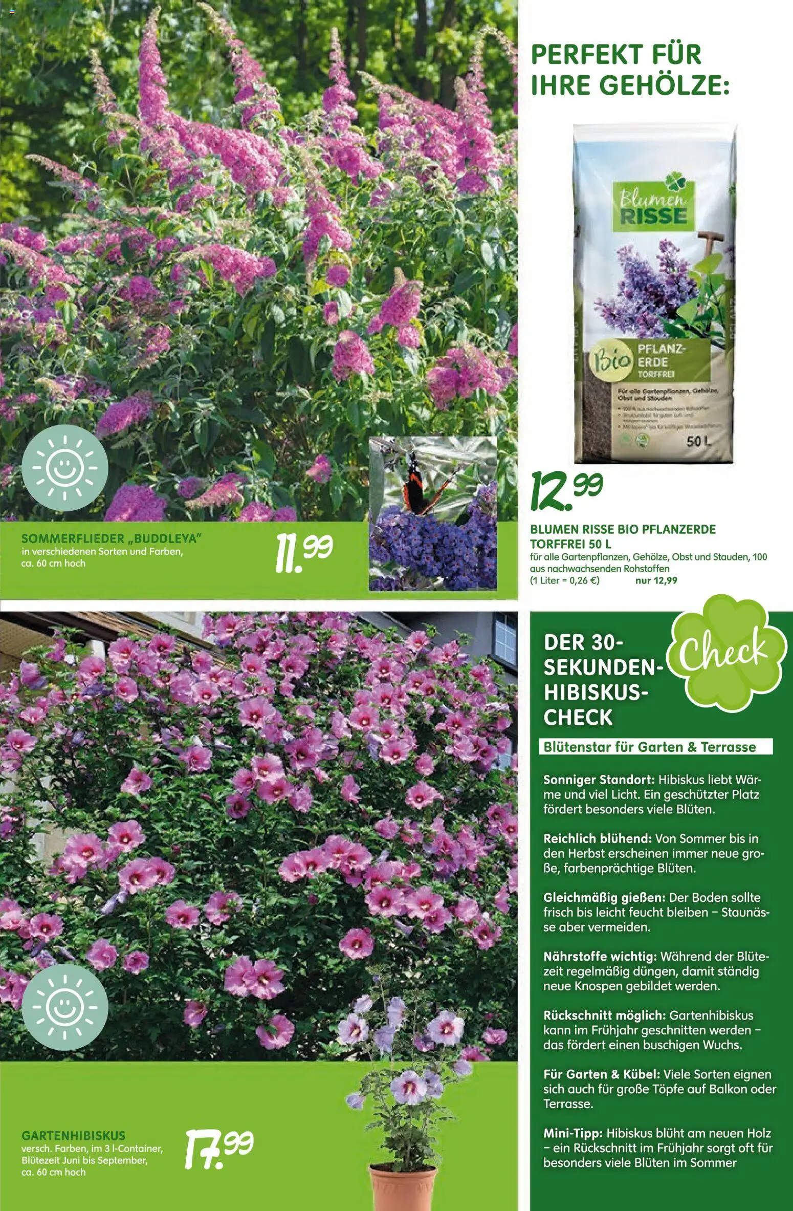 Blumen Risse Prospekt Blumenmarkt – gültig ab 16.04.2026 | Seite: 9 | Produkte: Pflanzerde, Blumen, Obst