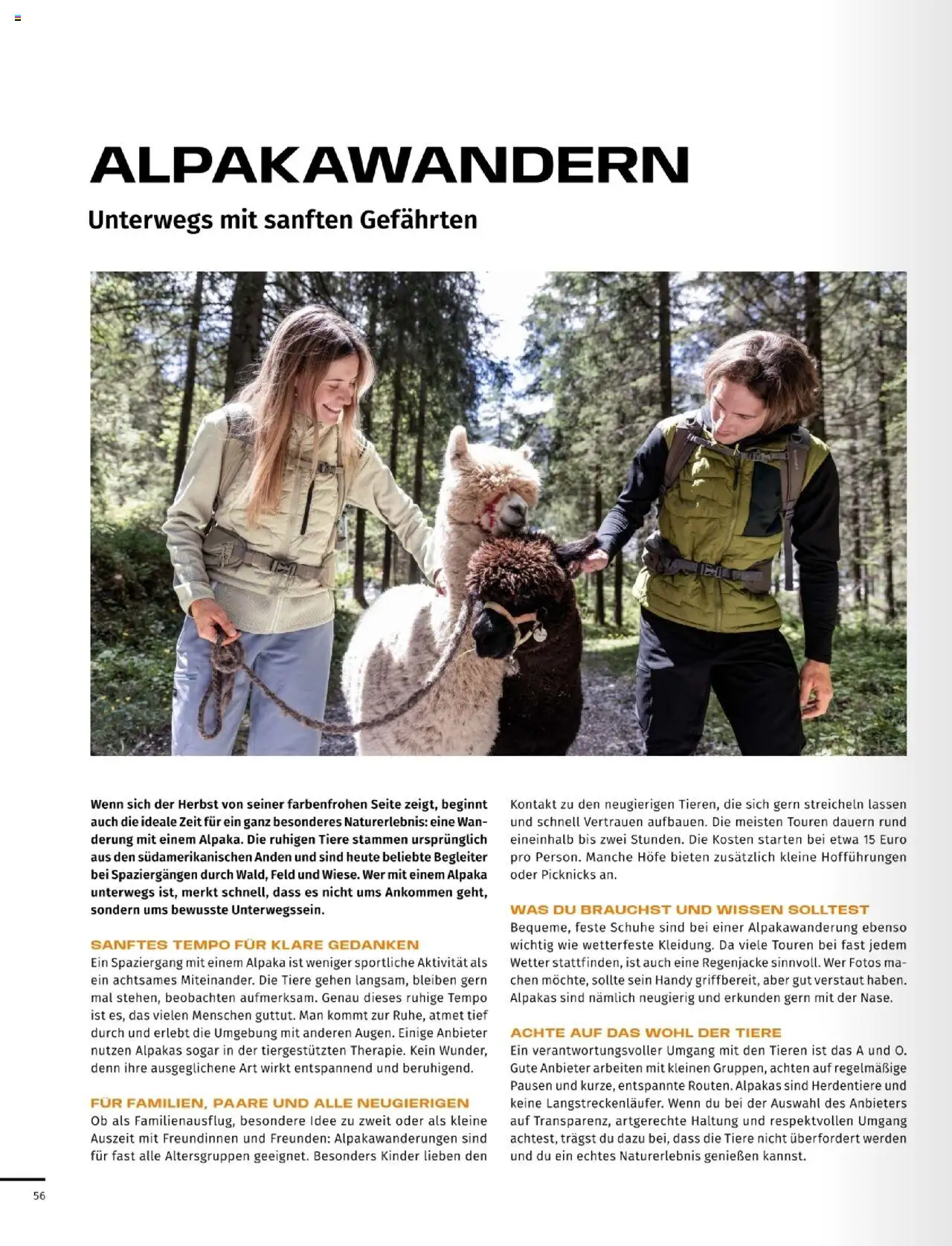 Sport2000 Prospekt Dein Outdoor Magazin  – gültig ab 01.10.2025 | Seite: 56 | Produkte: Regenjacke, Tempo