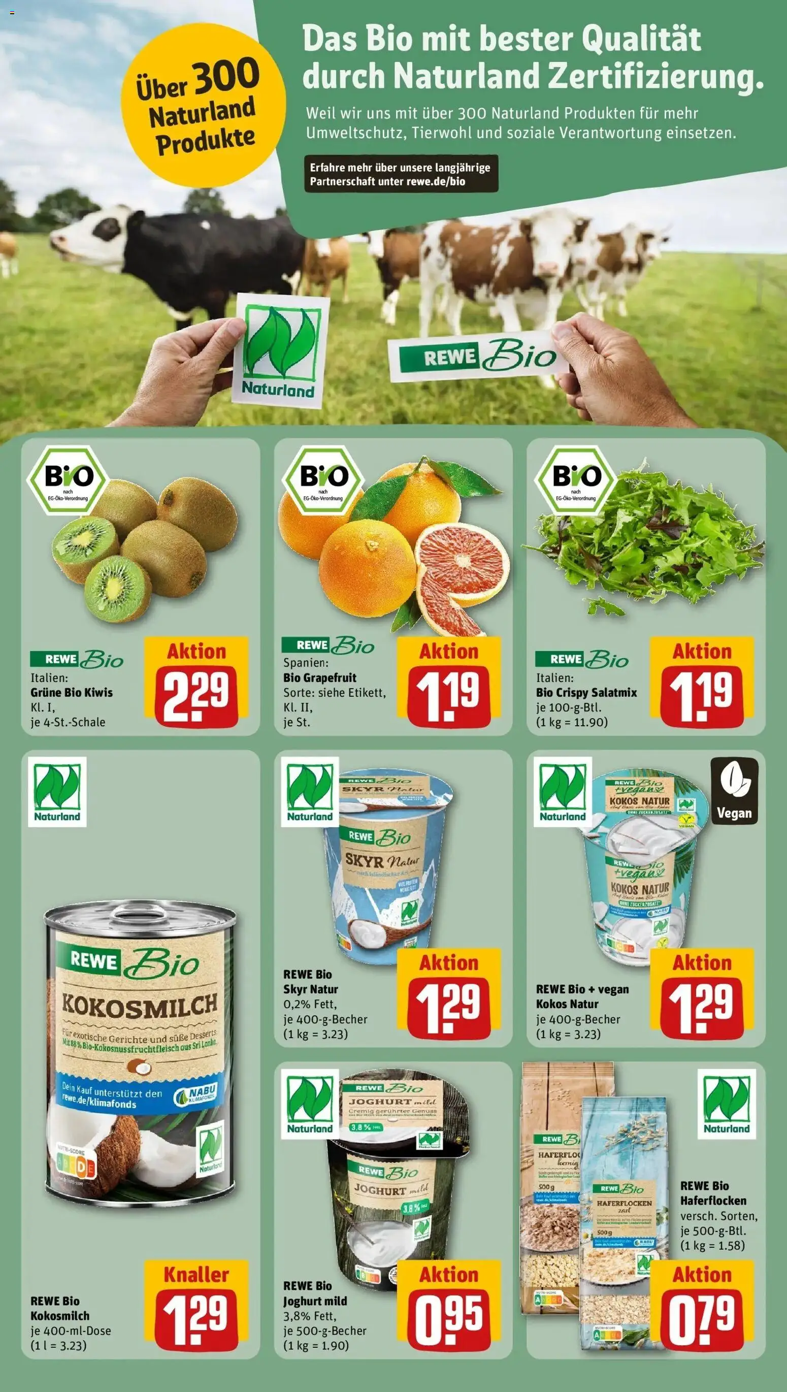 Rewe prospekt Dessau-Roßlau	 – gültig ab 16.02.2026 | Seite: 18 | Produkte: Joghurt, Skyr, Grapefruit, Kiwi