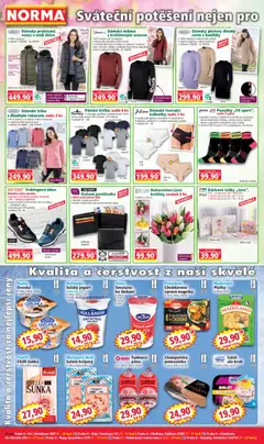 Náhled letáku Norma leták od 02.03.2026 | Strana: 2