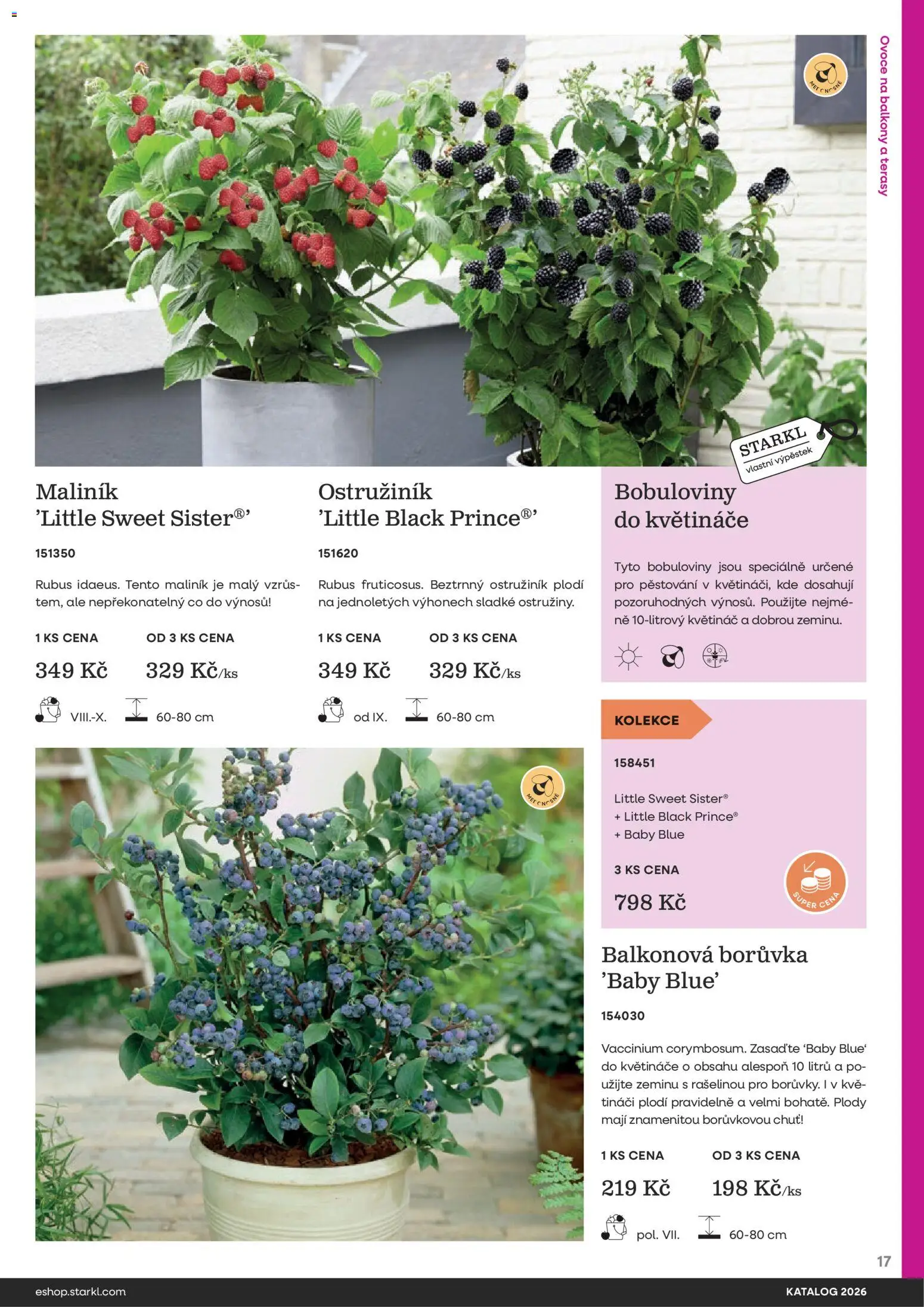 Starkl katalog od 25.02.2026 | Strana: 17 | Produkty: Ovoce, Květináče, Květináč