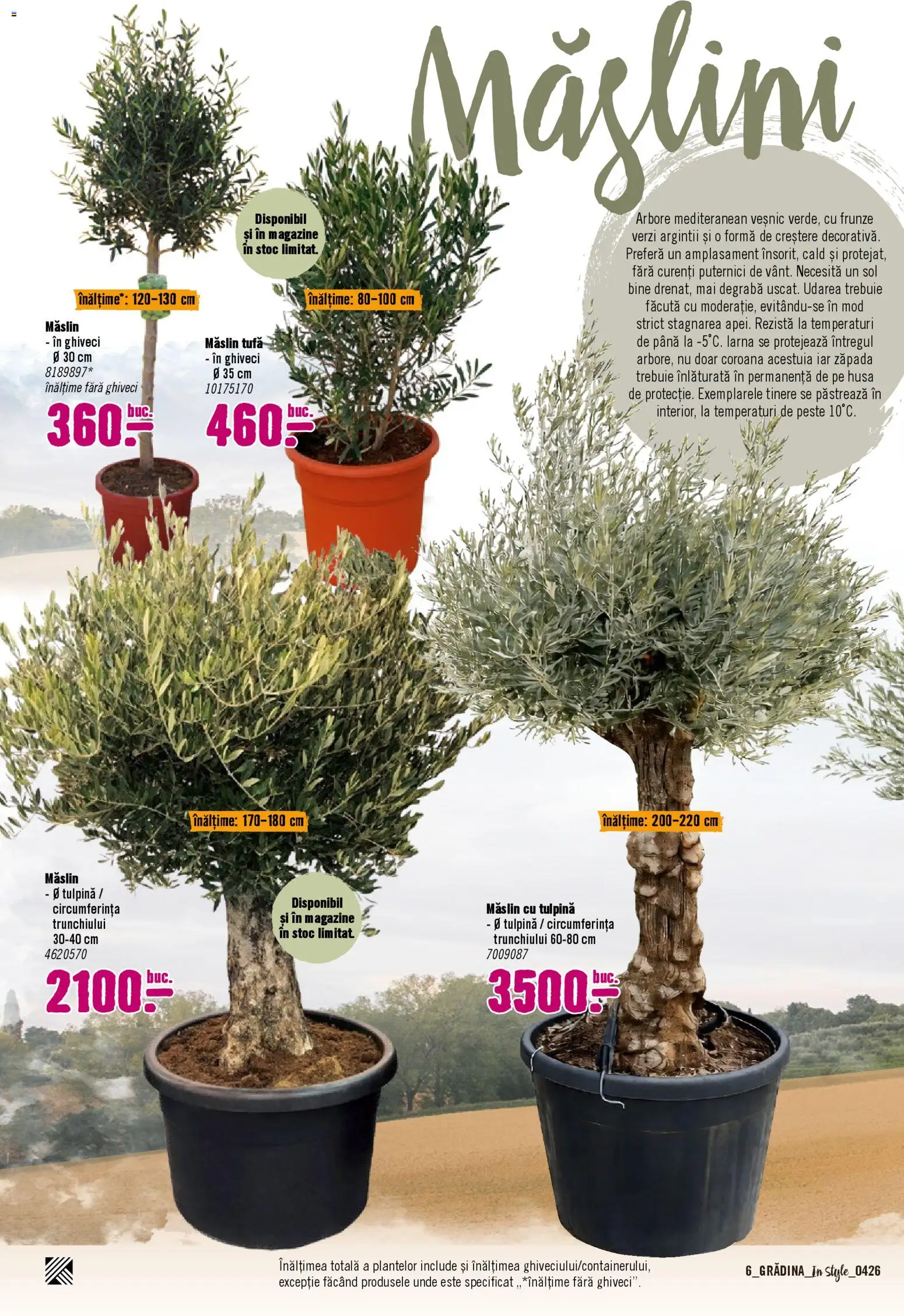 Noul catalog Hornbach – valabil de la 06.04.2026 | Pagină: 6 | Produse: Ghiveci, Pește