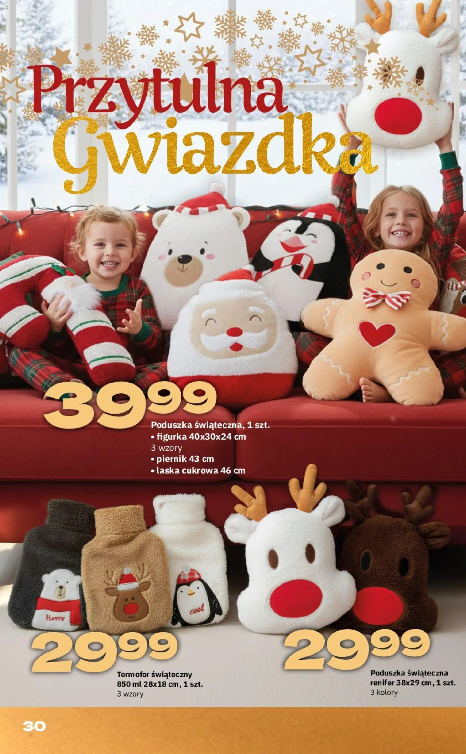 Twój Market Gazetka - Gwiazdka od 17.11.2025 | Strona: 30 | Produkty: Piernik, Poduszka