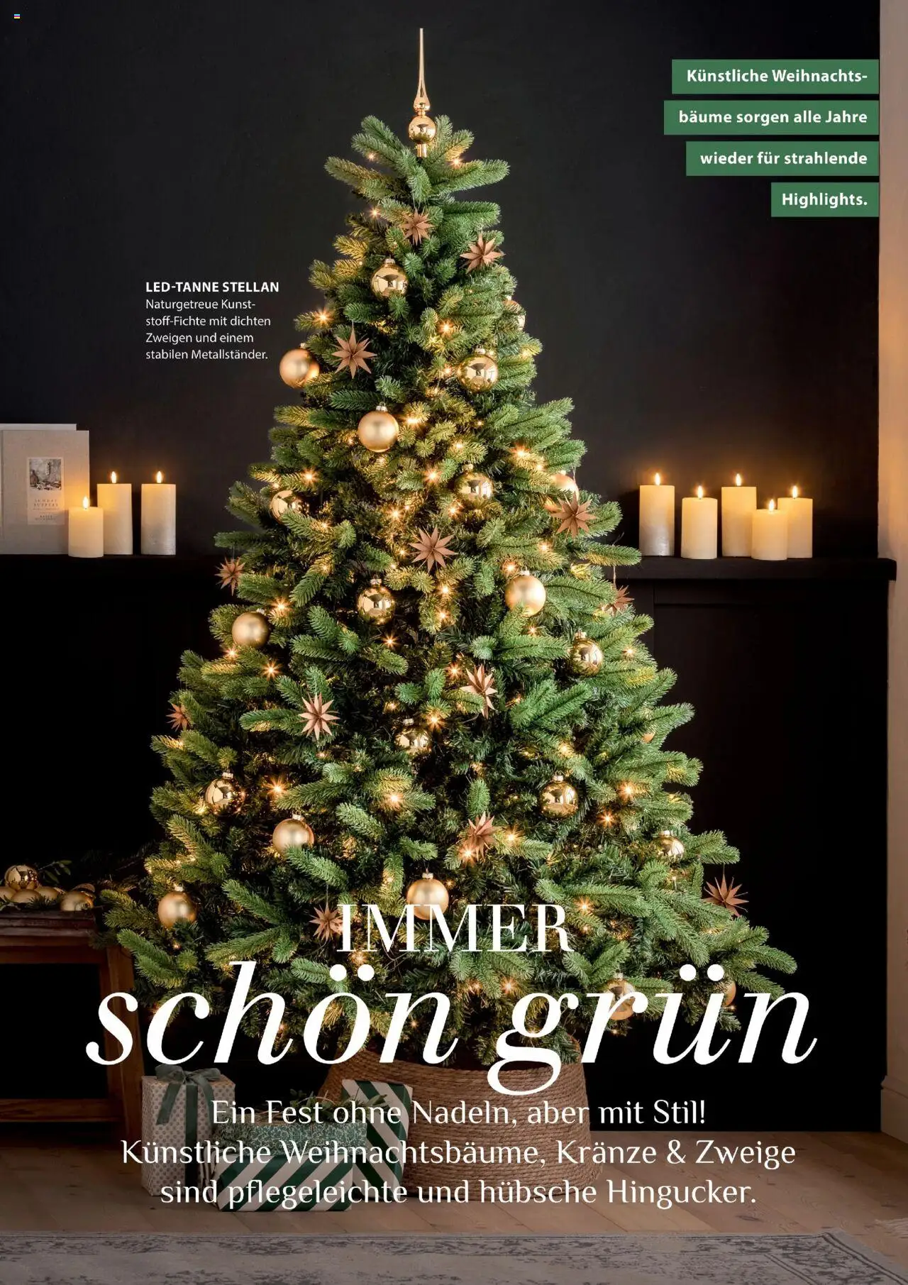 Dehner Prospekt Deine Natur – gültig ab 09.10.2025 | Seite: 66