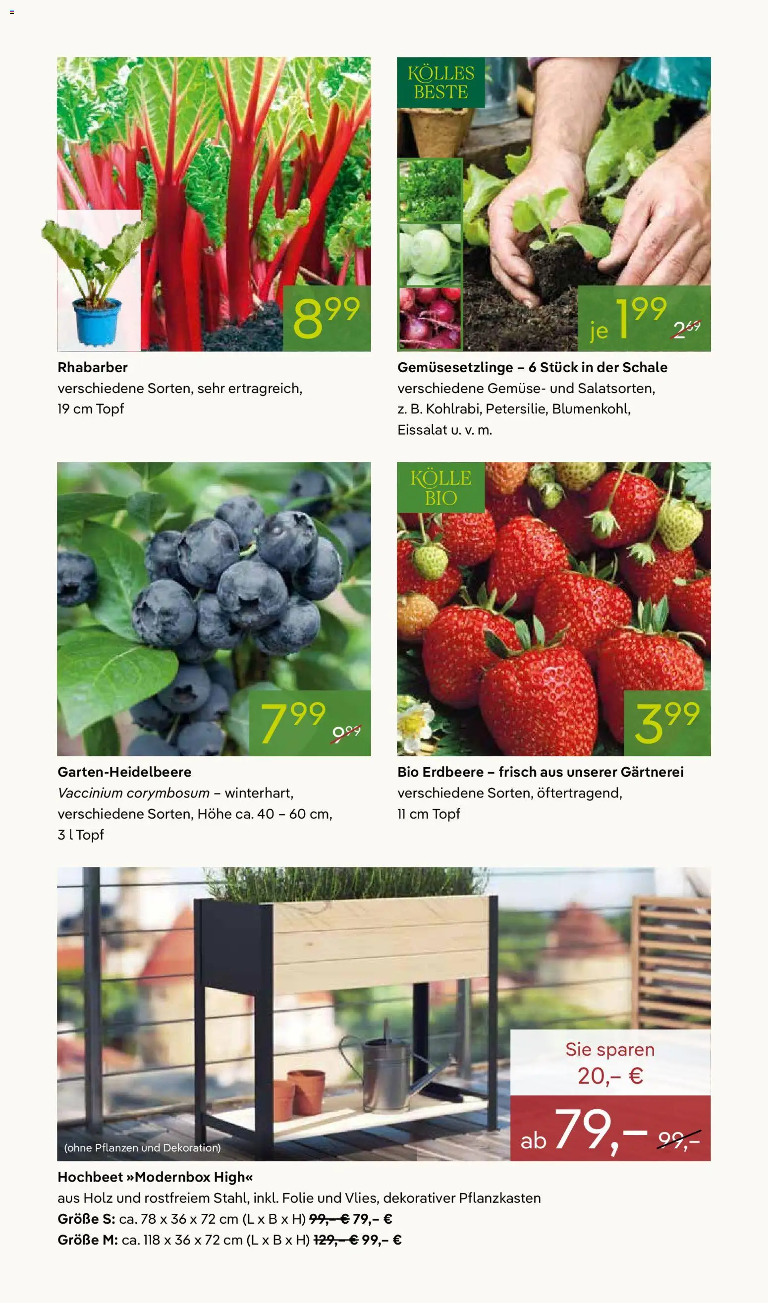 Pflanzen-Kölle Prospekt 	 – gültig ab 27.04.2026 | Seite: 6 | Produkte: Hochbeet, Eissalat, Gemüse, Rhabarber