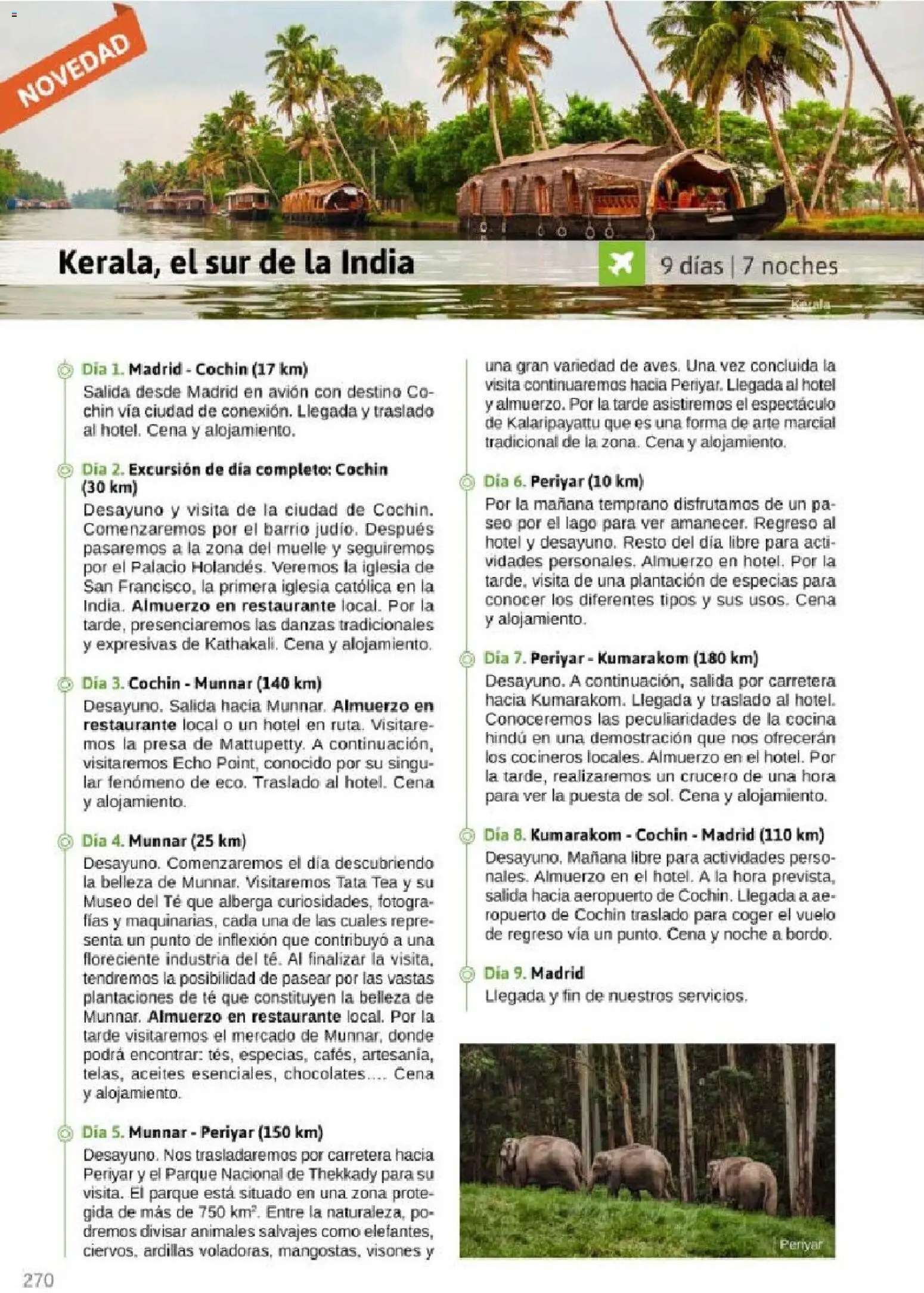 Viajes El Corte Inglés Rutas Culturales de la Comunidad de Madrid │ válido desde el 01.04.2026 | Página: 270 | Productos: Té, Cocina