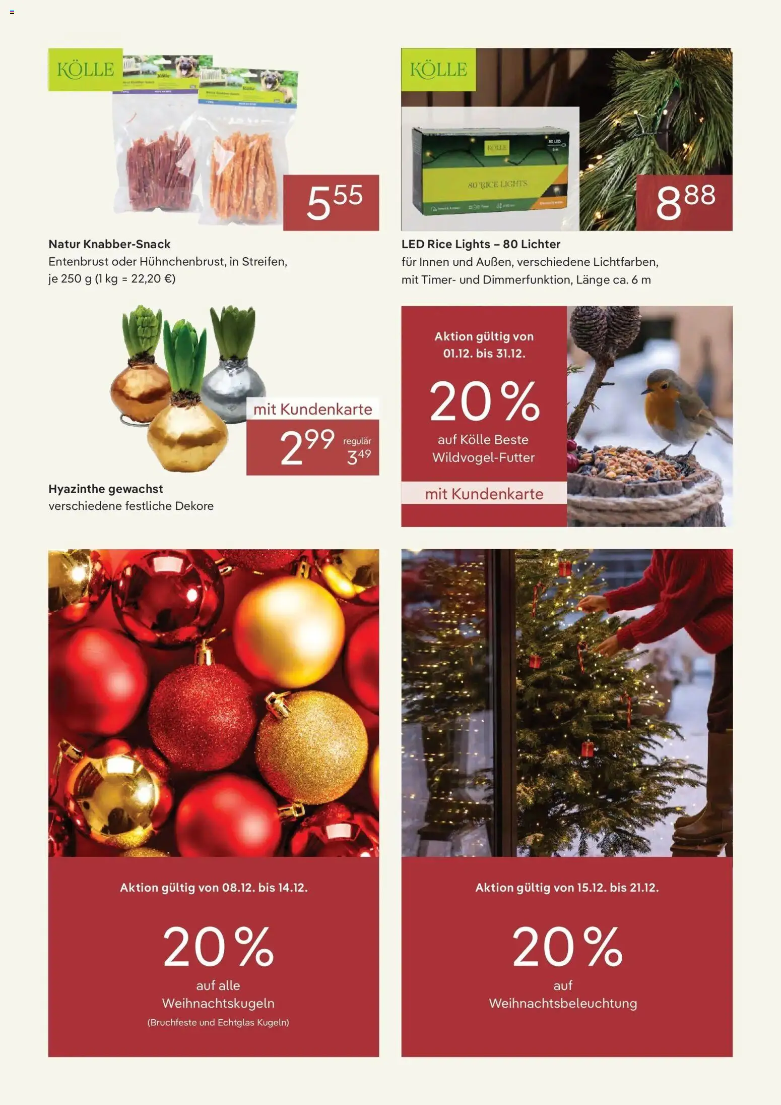 Pflanzen-Kölle Dauerhaft niedrige Preise im Dezember – gültig ab 01.12.2025 | Seite: 2