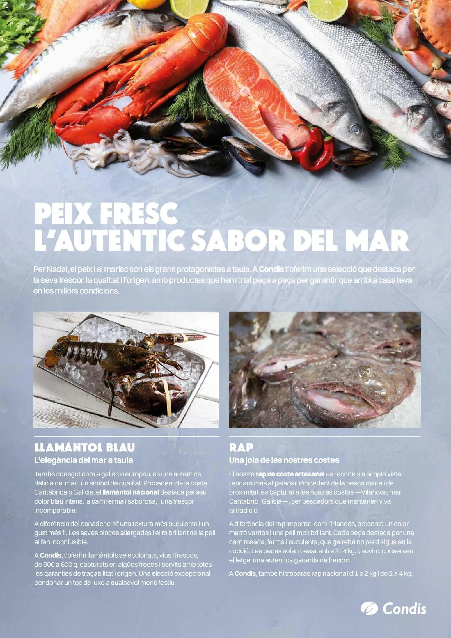 Condis folleto life │ válido desde el 03.12.2025 | Página: 19 | Productos: Té