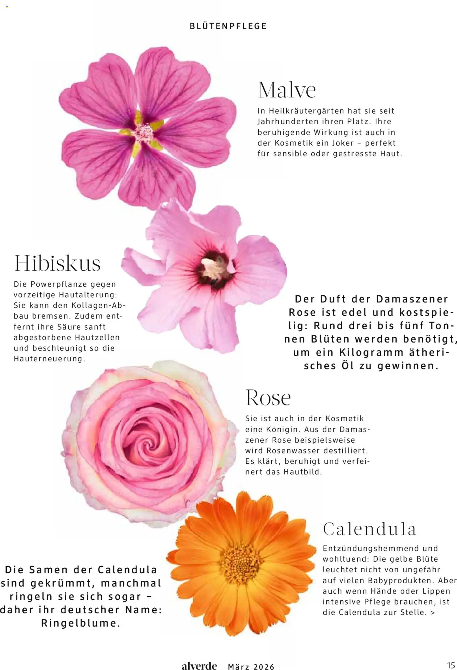 dm drogerie Prospekt 	 – gültig ab 01.03.2026 | Seite: 15 | Produkte: Öl, Duft