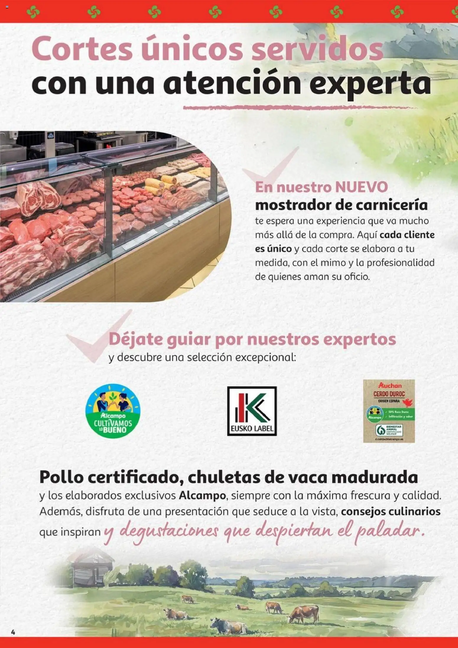 Alcampo - Reapertura Irun Oiartzun  │ válido desde el 11.11.2025 | Página: 4 | Productos: Cerdo, Té