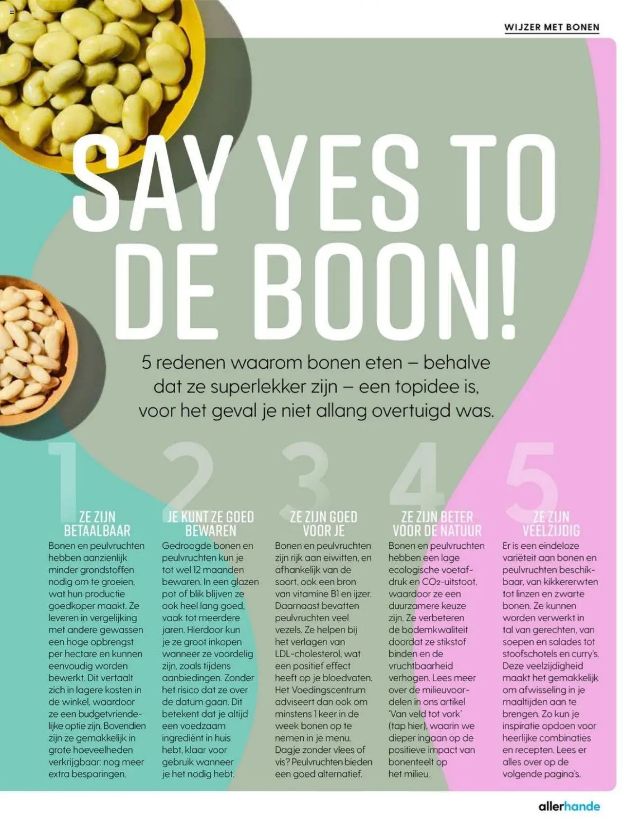  | Pagina: 3 | Producten: Boon, Pot, Kikkererwten, Linzen