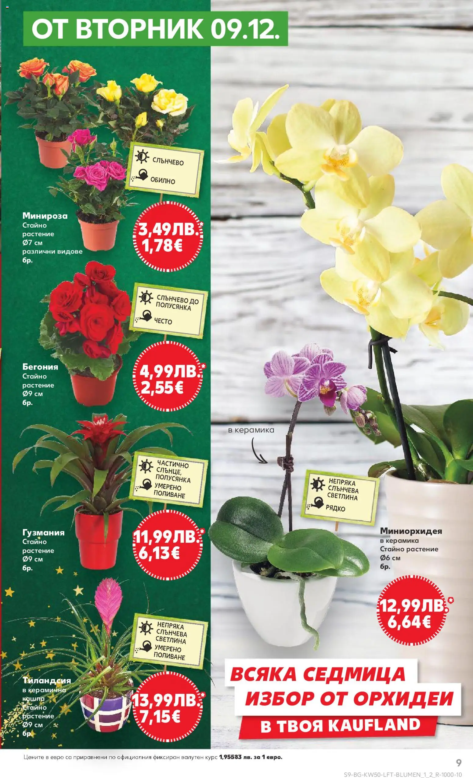 {H1} | Страница: 9 | Продукти: Кашпа