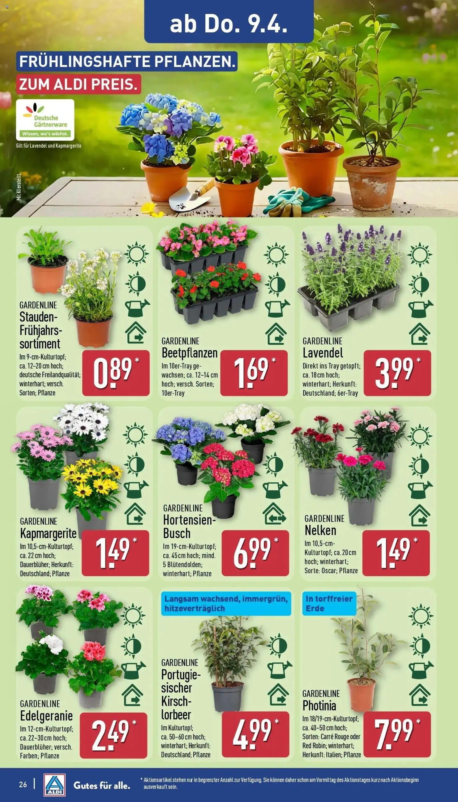 Aldi - ALDI Nord: Wochenangebote – gültig ab 05.04.2026 | Seite: 27 | Produkte: Rouge, Lavendel