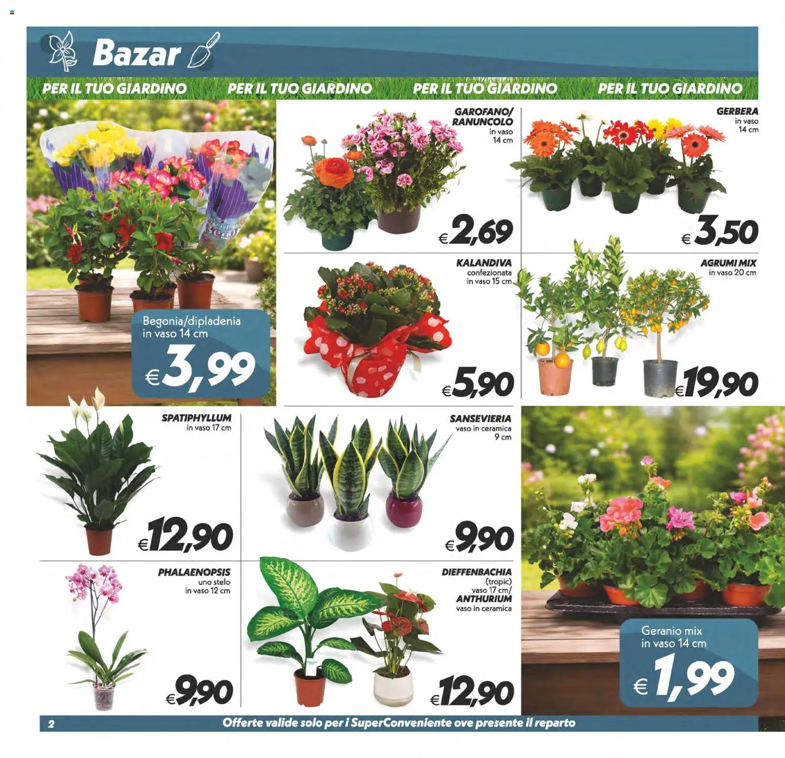 Volantino SuperConveniente del 06.03.2026 | Pagina: 27 | Prodotti: Agrumi, Vaso