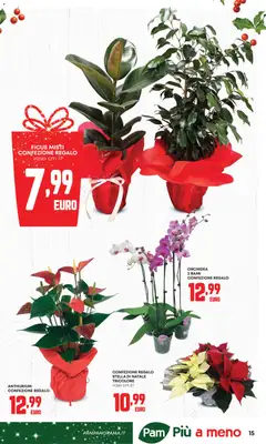 Anteprima del volantino PAM Feste catalogo valido a partire dal 20.11.2025 | Pagina: 15 | Prodotti: Orchidea, Vaso