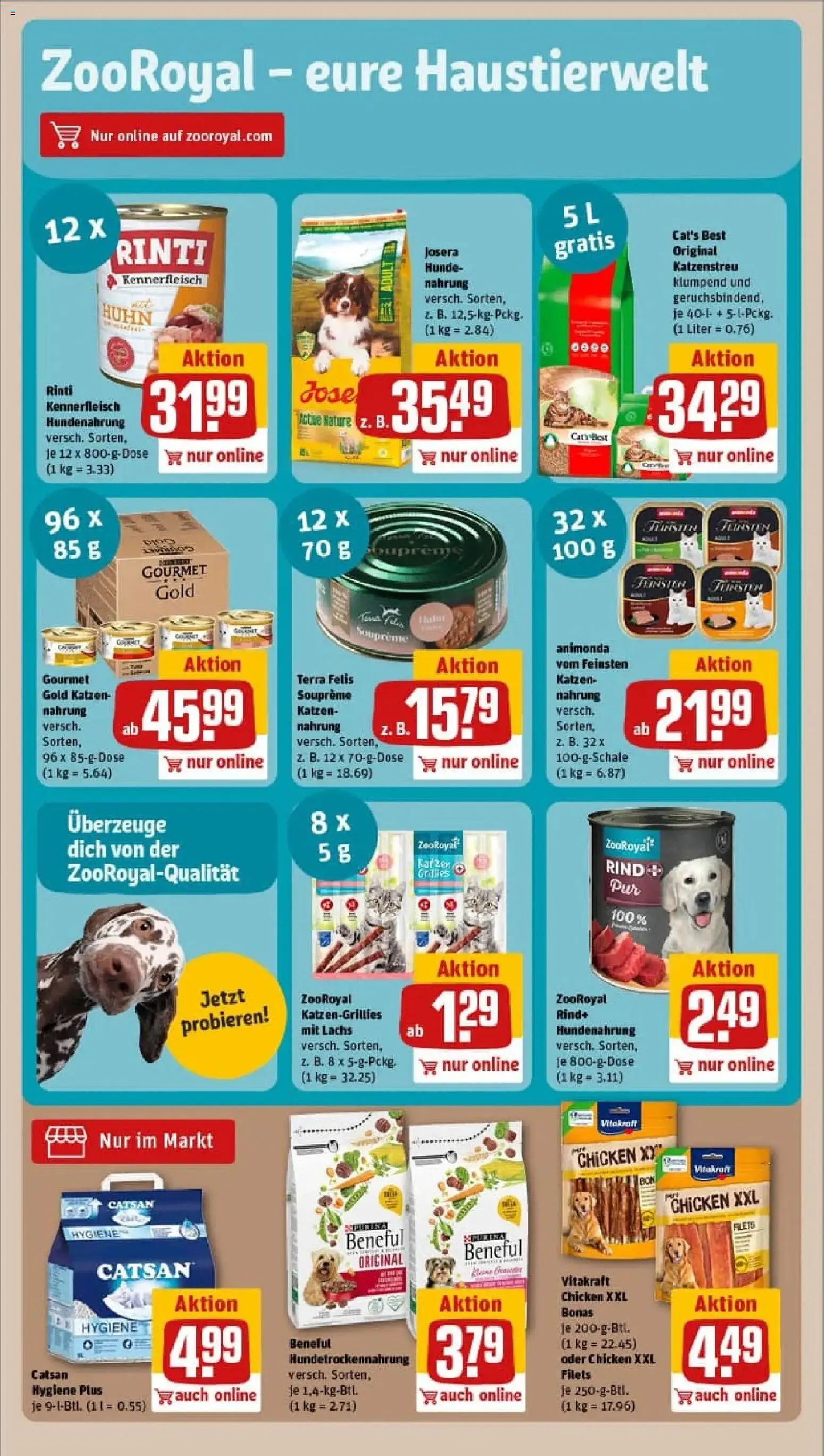 Rewe prospekt Berlin / Schöneberg	 – gültig ab 02.02.2026 | Seite: 31 | Produkte: Catsan, Lachs