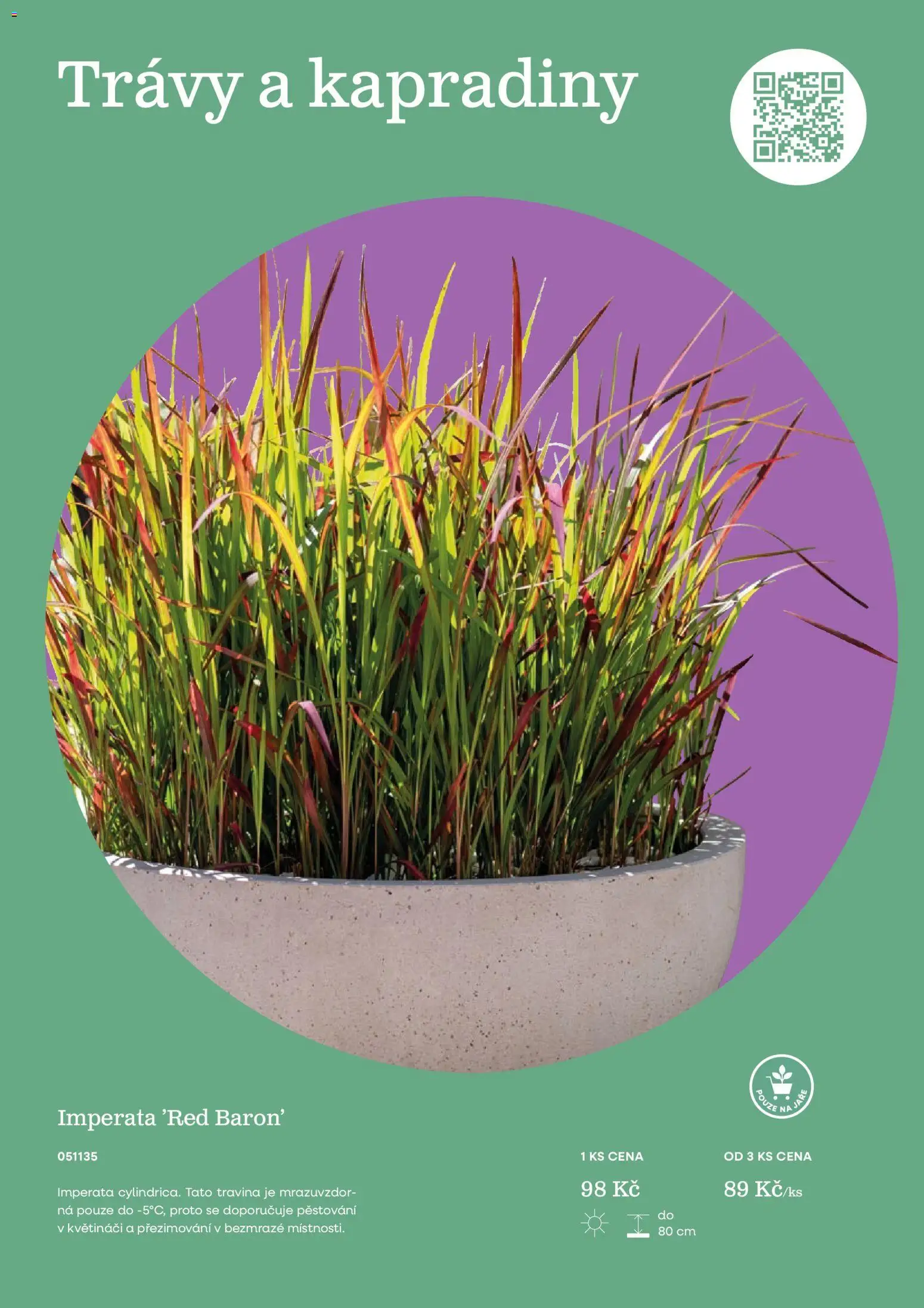 Starkl katalog od 25.02.2026 | Strana: 75 | Produkty: Jar