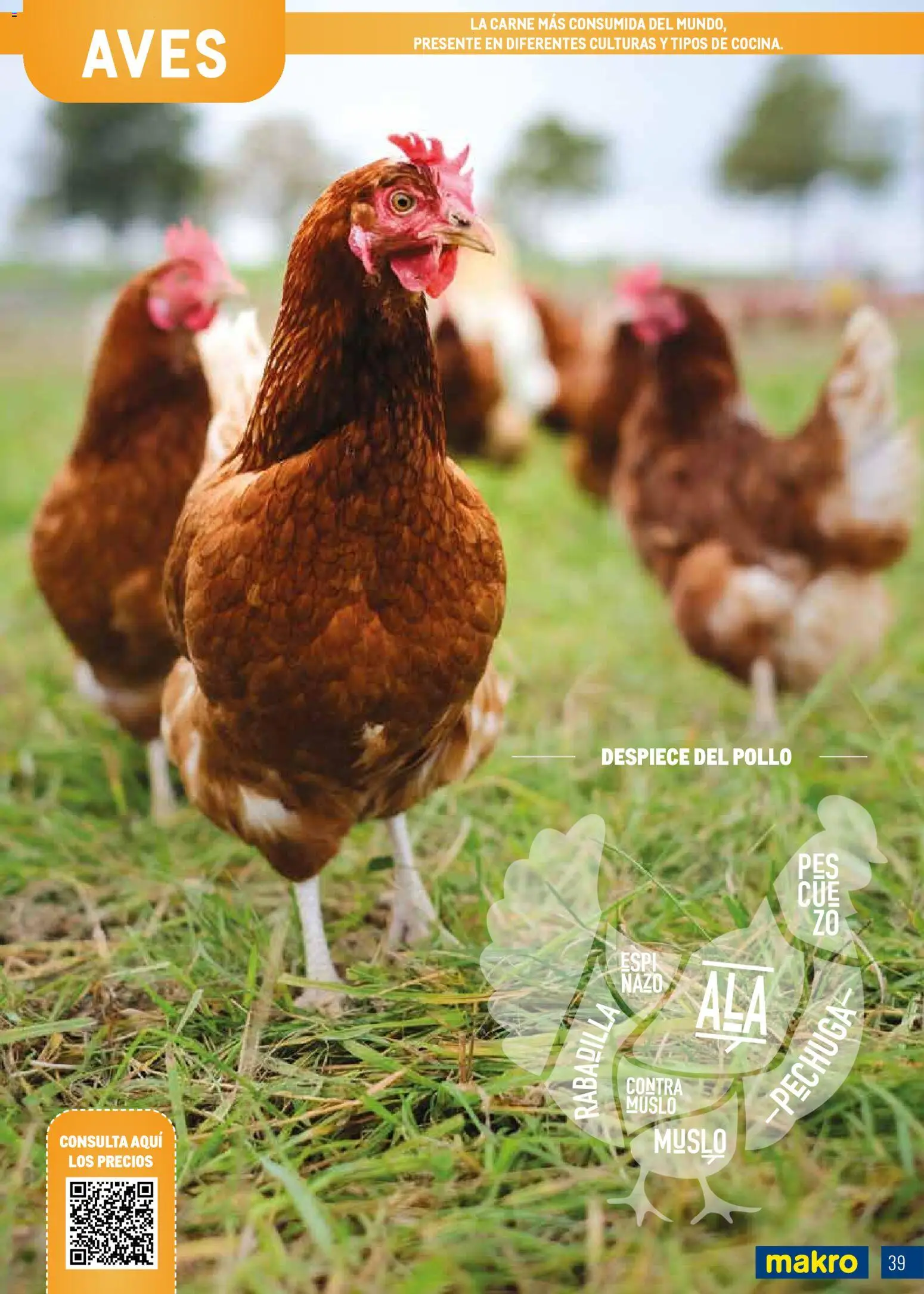 Makro - Especial Carnes Península │ válido desde el 03.11.2025 | Página: 39