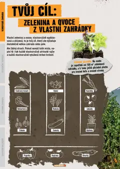 Náhled letáku HORNBACH leták - Zahrada od 01.01.2026 | Strana: 6