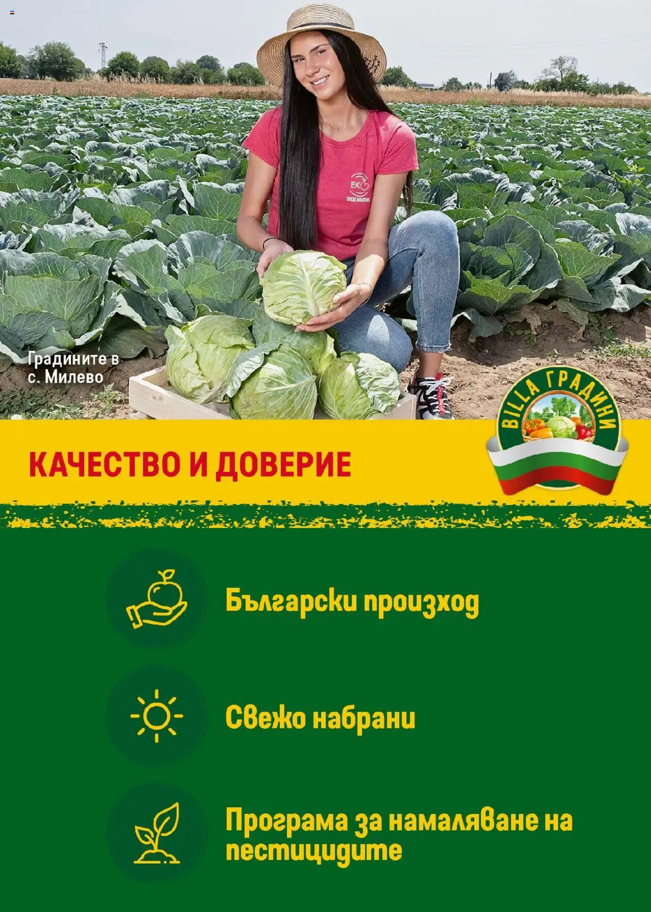  | Страница: 11