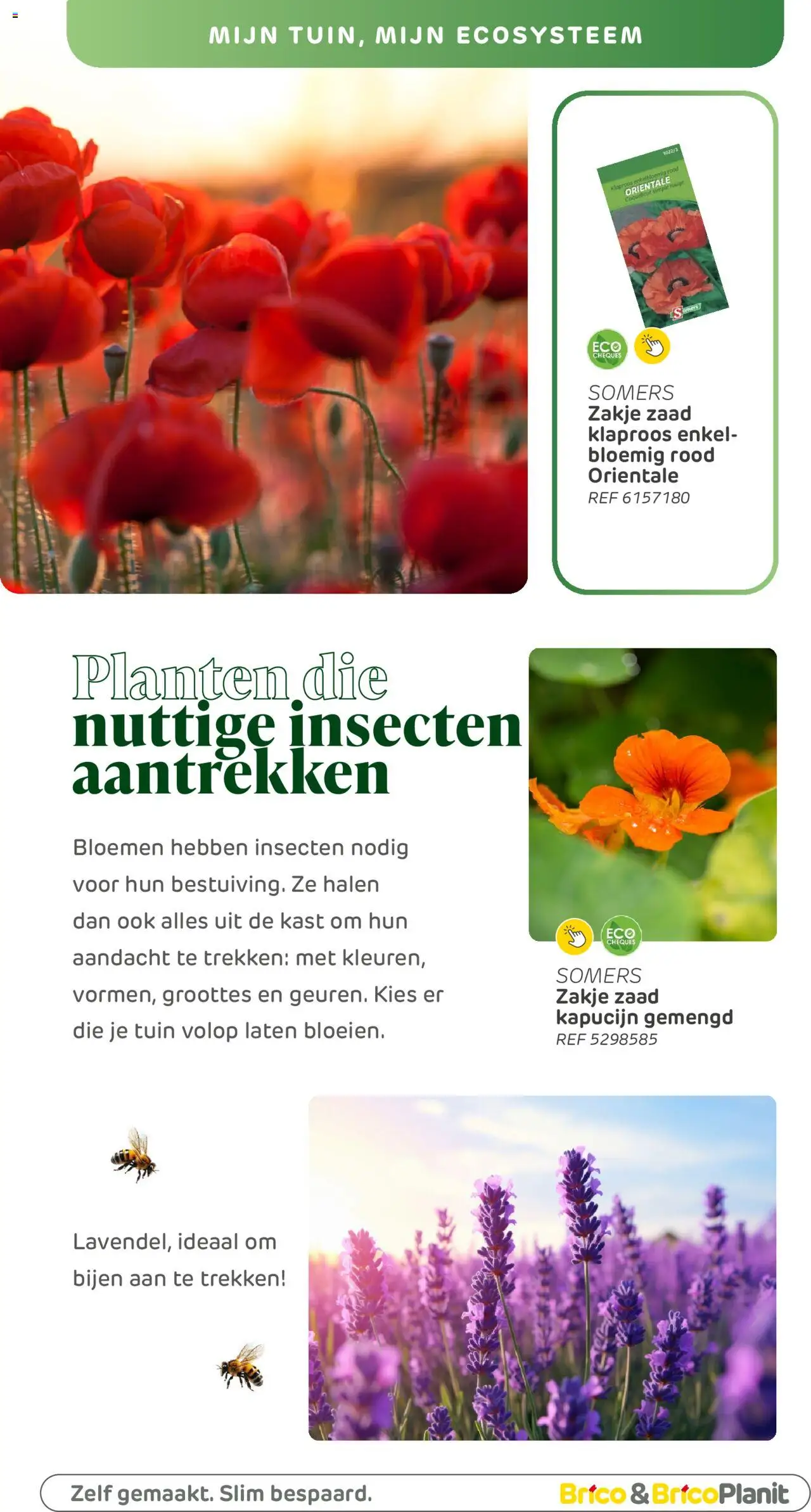  | Pagina: 161 | Producten: Bloemen, Kast