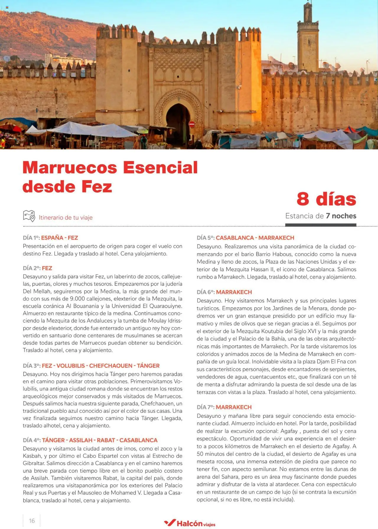 Halcón Viajes Marruecos  │ válido desde el 10.05.2024 | Página: 16 | Productos: Té