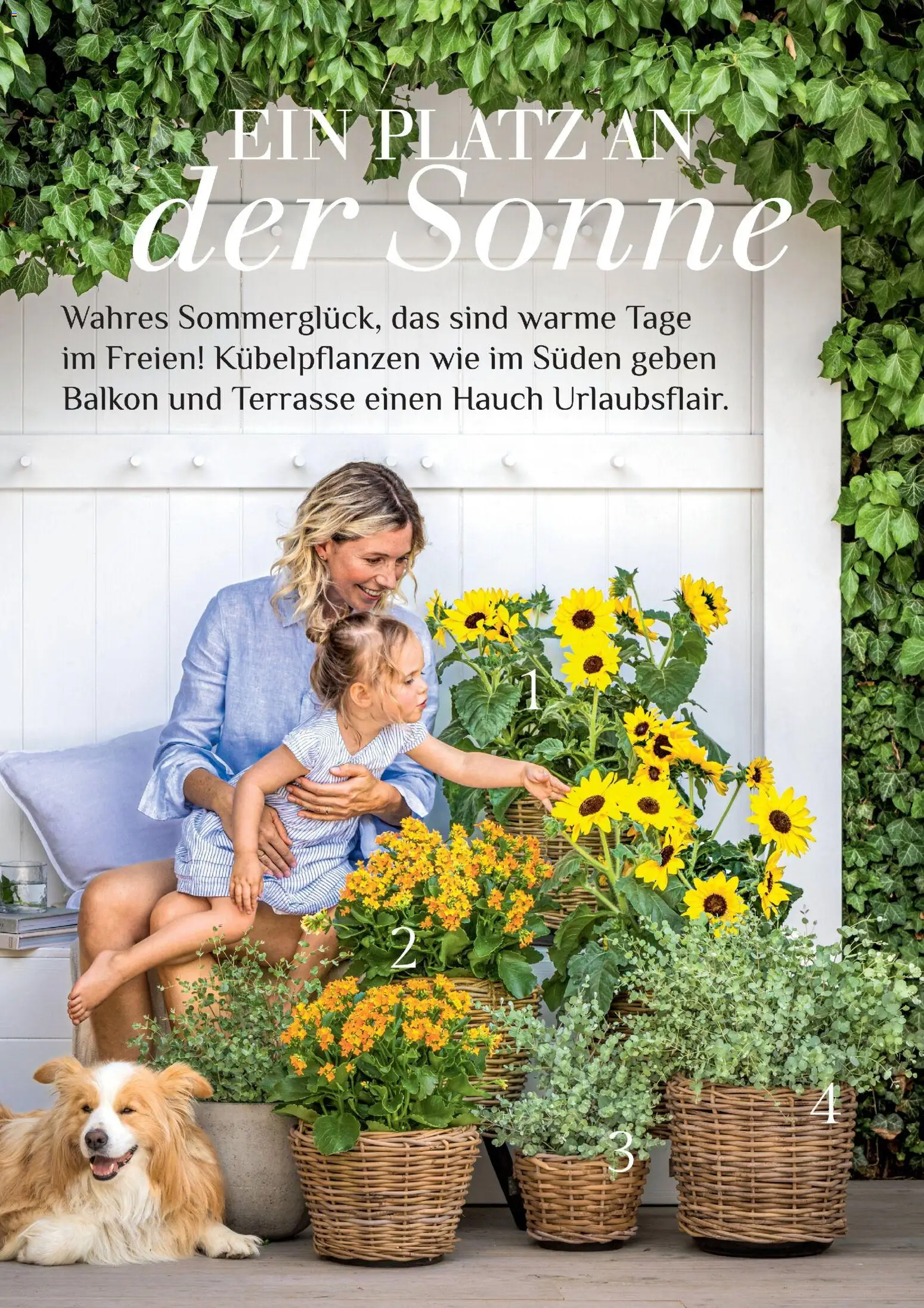 Dehner Prospekt 	 – gültig ab 17.04.2026 | Seite: 30