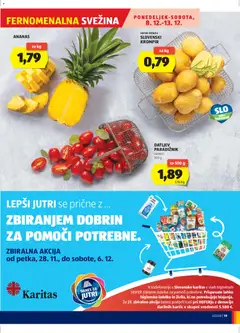 Hofer katalog akcije – veljaven od 04.12.2025 | Stran: 19