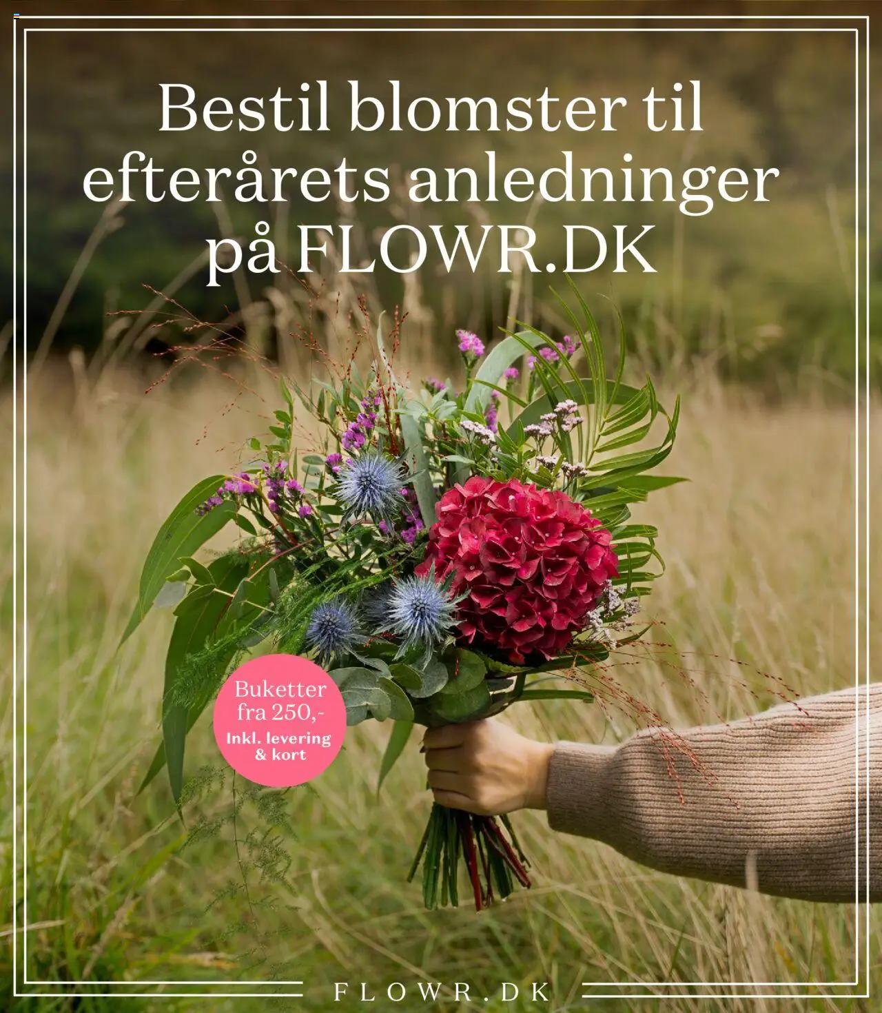 Bilka tilbudsavis – gyldig fra 19.09.2025 | Side: 29