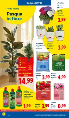 Anteprima del volantino Concime completo blu, 3 KG valido a partire dal 09.03.2026 | Pagina: 36