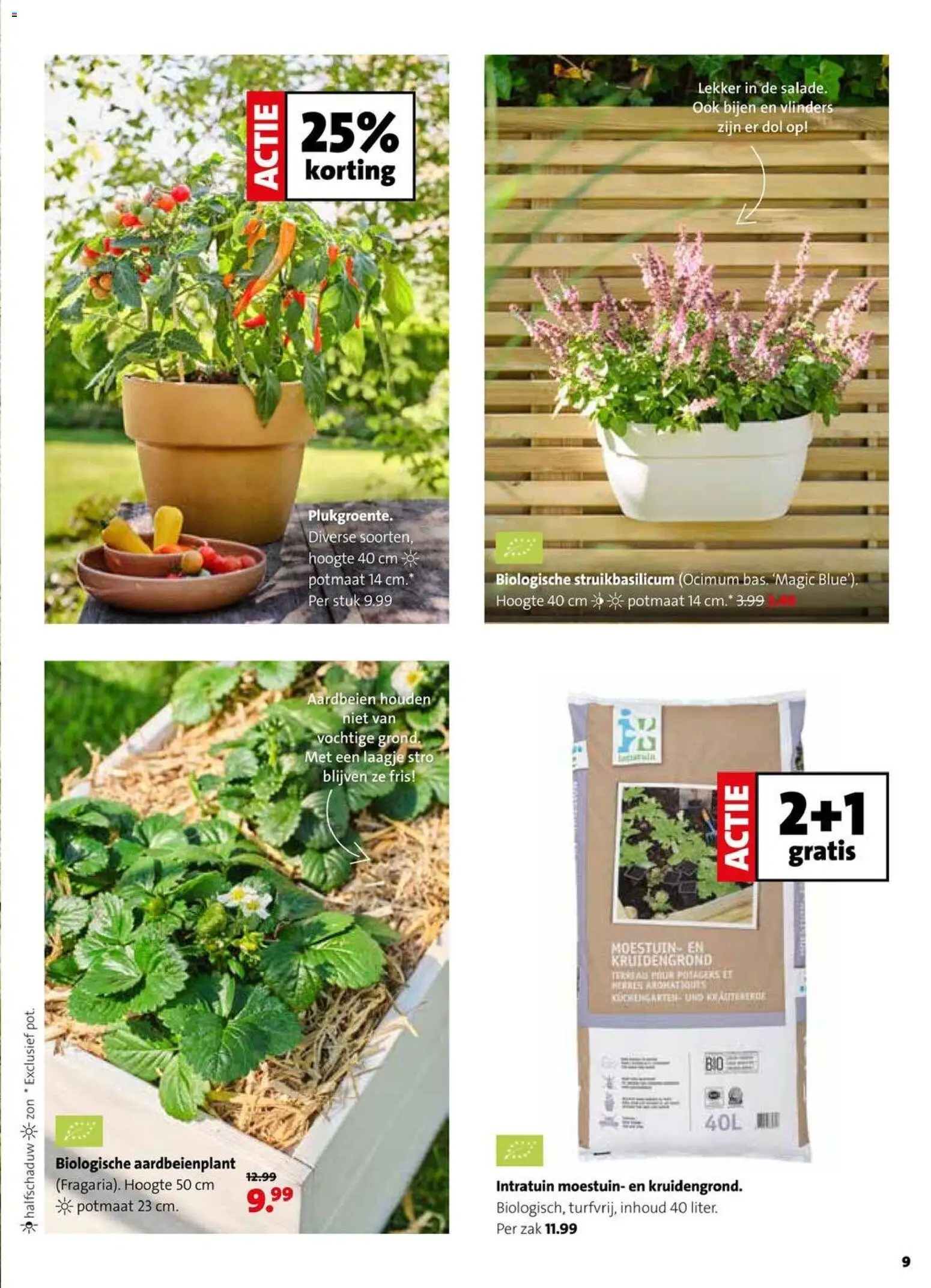 {H1} | Pagina: 9 | Producten: Aardbeien, Zak