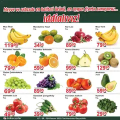 07.11.2025 tarihinden itibaren geçerli olan Özkuruşlar kataloğu önizlemesi