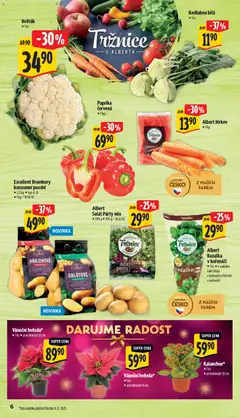 Náhled letáku Albert leták - Supermarket od 10.12.2025 | Strana: 11 | Produkty: Květináče, Mrkev, Party mix, Bazalka